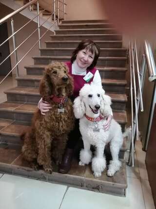 Гостиница Белебей Белебей-6